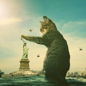 Meet your Posher, Trista